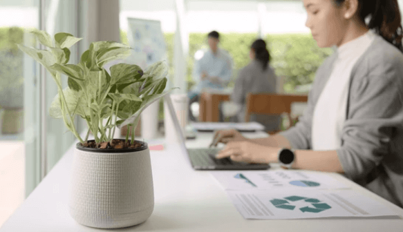 新生ジャパン投資